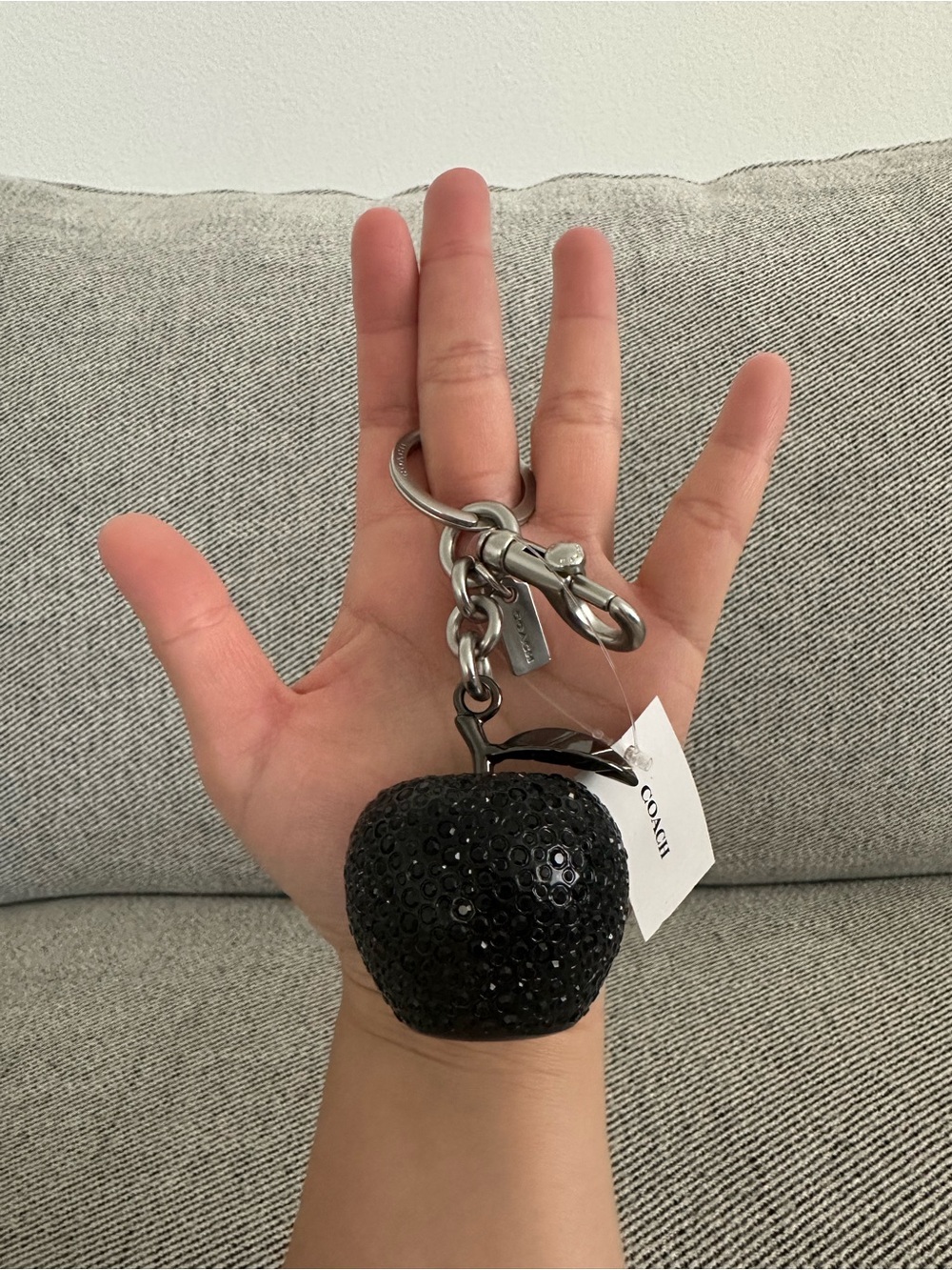NWT Coach Resin Crystal Apple Bag Charm Keychain Silver / Black CCD29